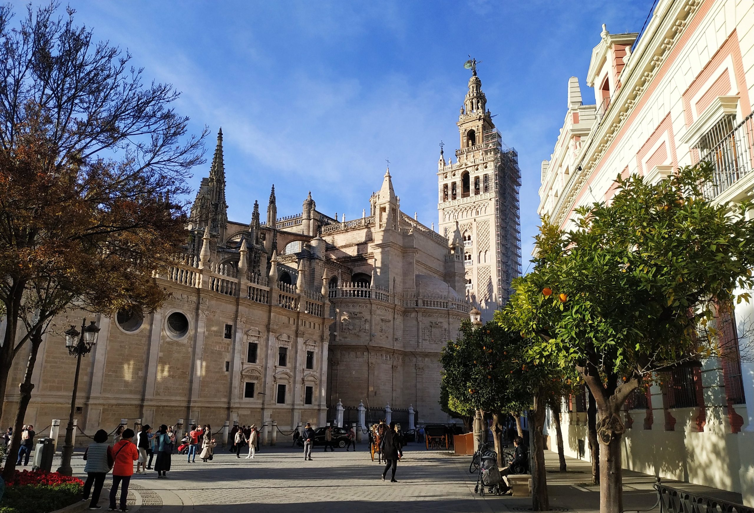 Visitas guiadas en Sevilla